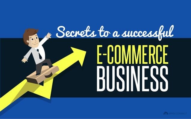 successful ecommerce business