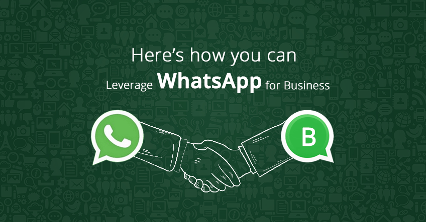 whatsapp marketing importance